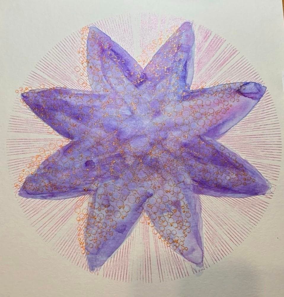 star2